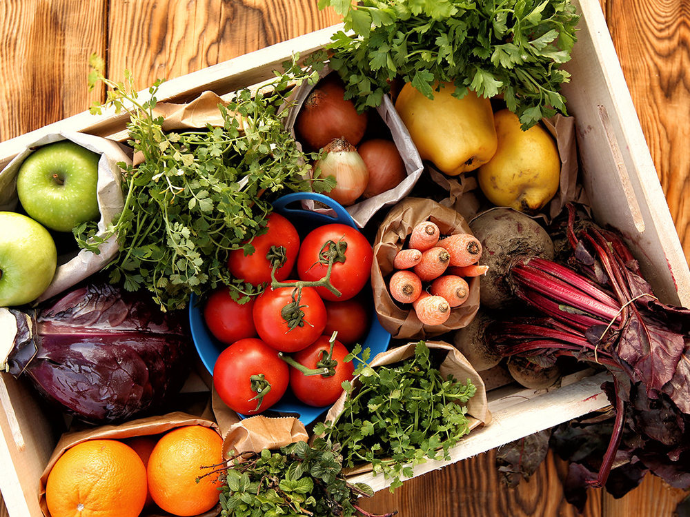 7 Best Weight Loss Tips You’ll Read This Year 7 Best Weight Loss Tips You’ll Read This Year