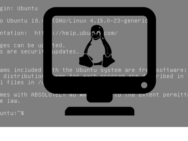 What is TTY Linux? How to use this command?