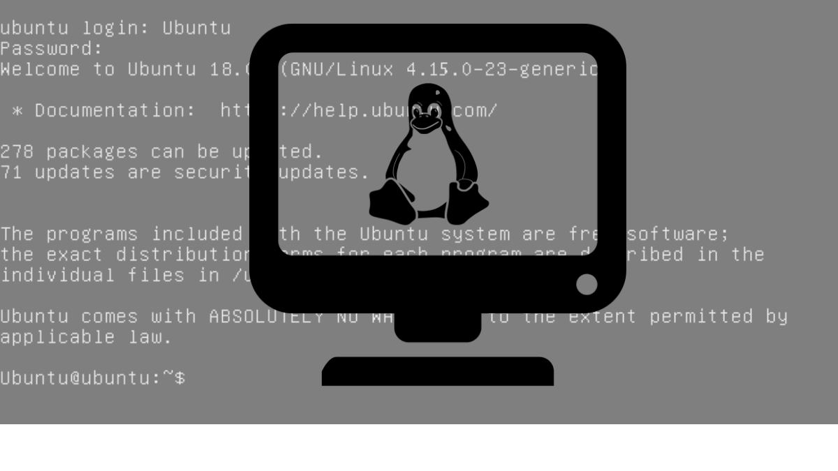 What is TTY Linux? How to use this command? What is TTY Linux? How to use this command?